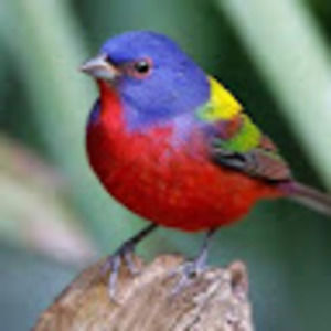 Meet your Posher, Wendy